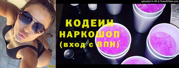 стаф Кулебаки