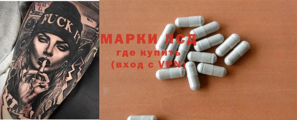 стаф Кулебаки