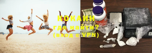 стаф Кулебаки