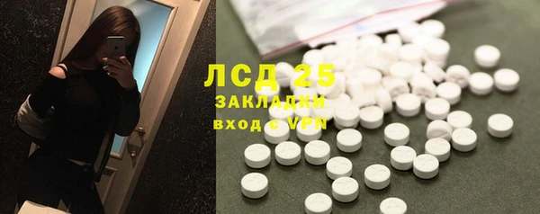 стаф Кулебаки