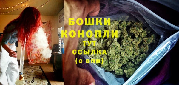 стаф Кулебаки