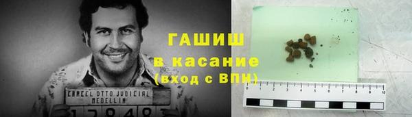 стаф Кулебаки